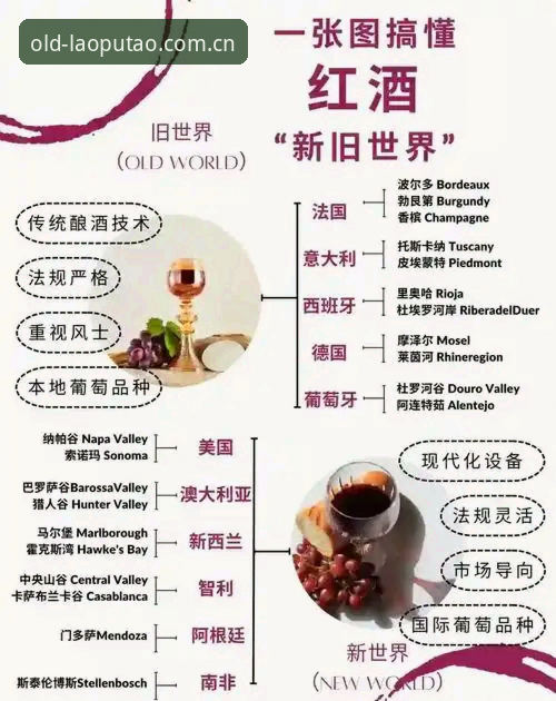 经典vs现代：老葡萄核心功能与新版特色全面对比，哪个更适合你？