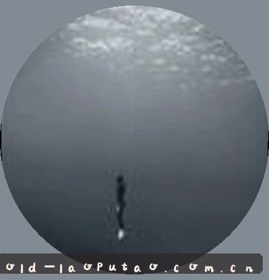 吴涛