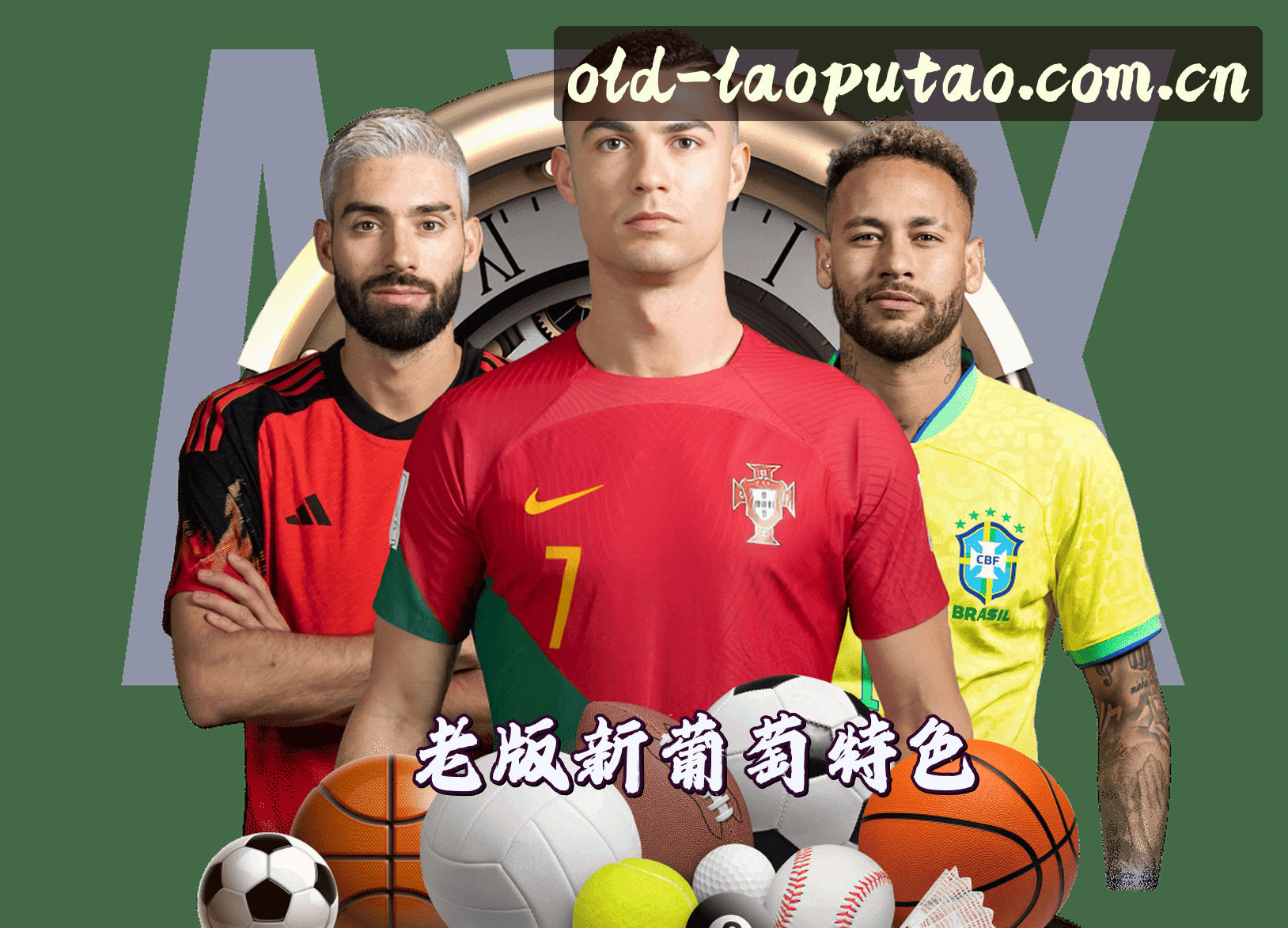 关于我们信息